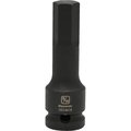 Dynamic Tools 1/2" Drive SAE Hex Head, 9/16", Bit Impact Socket D014618